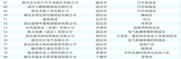 湖北齐星集团蝉联2025湖北民企百强榜单图片