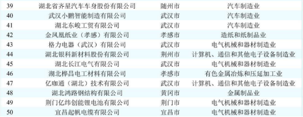 湖北齐星集团蝉联2025湖北民企百强榜单图片