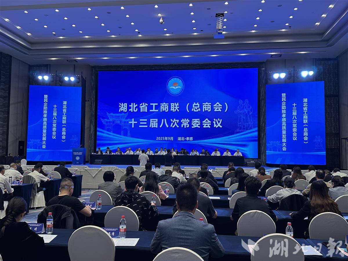 湖北齐星集团蝉联2025湖北民企百强榜单图片
